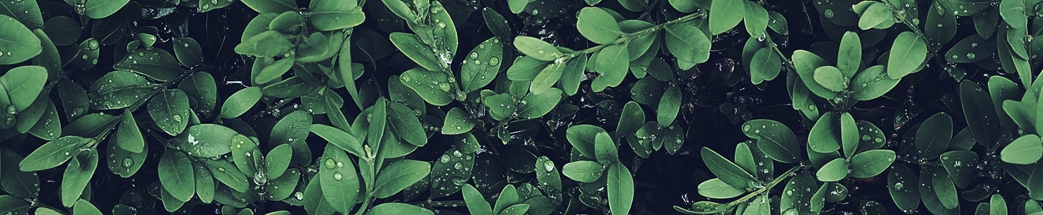 你知道网站建设的后期维护指的哪些吗？