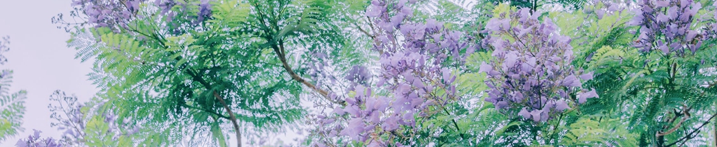 网站优化必须掌握的方法有哪些？