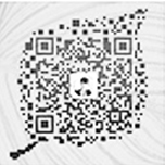 扫描二维码加微信好友